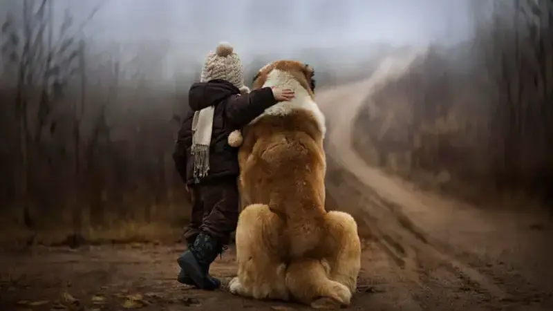 cani giganti