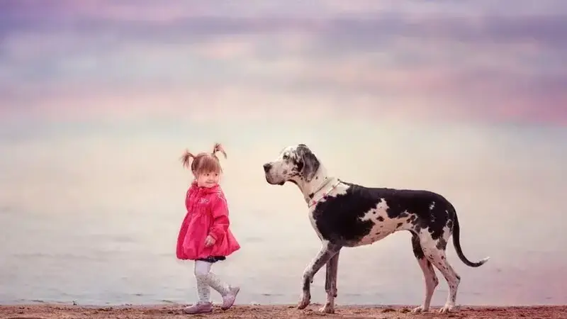 cani giganti