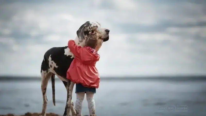 little-kids-big-dogs-photography-andy-seliverstoff-14-584fa917f1bf0__880